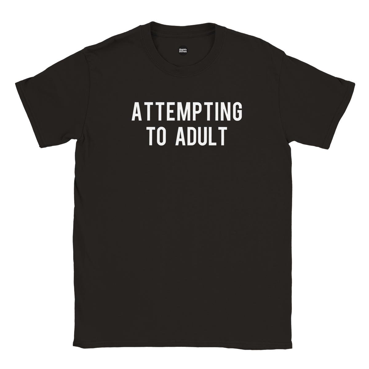 Attempting to Adult tee (black)
