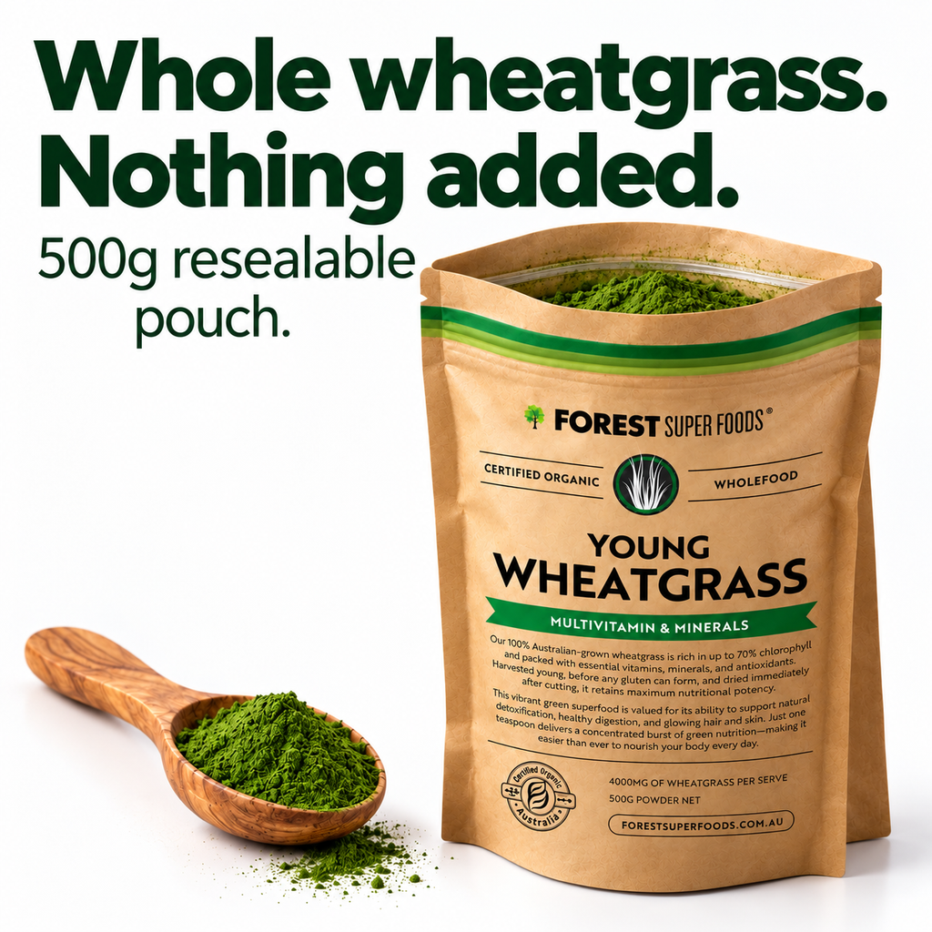 Australian Young Wheatgrass