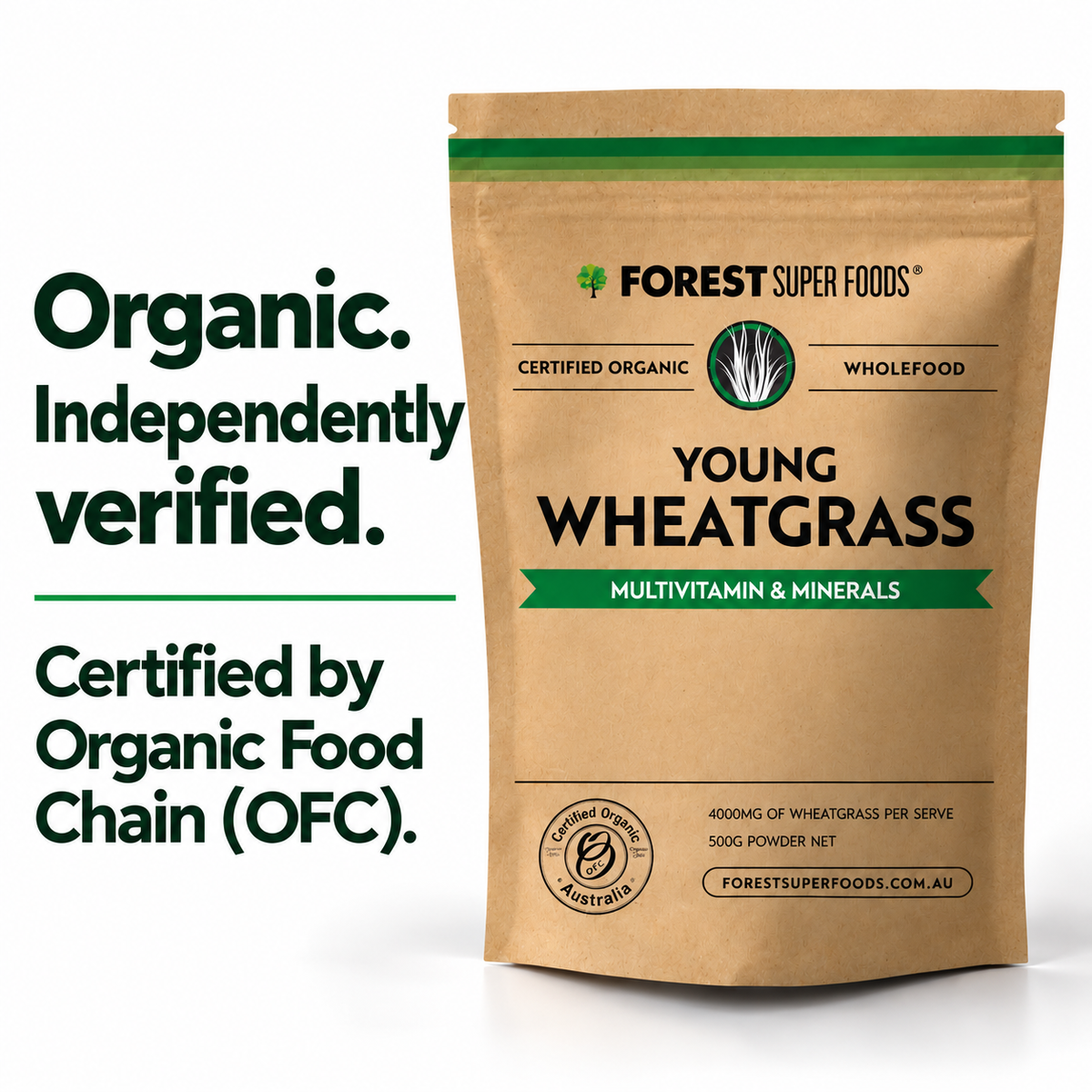 Australian Young Wheatgrass
