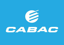 CABAC Releasable Cable Ties – 200mm x 4.8mm, UV-Stabilised Green Nylon, Packet of 100 | CT200GR | Durable, Reusable, Polyamide 6.6 for Indoor/Outdoor Use