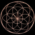 Flower of life - charge healing plate - Tensor Ring - reiki healing -  healing tool